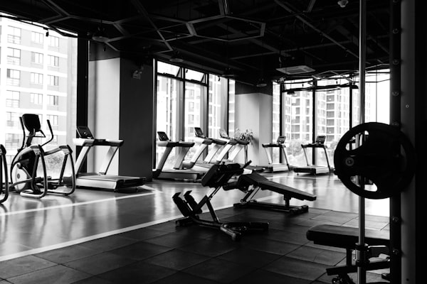 Modern gym equipment and weights